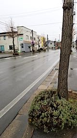 20200109ƻ餭٥餵̤