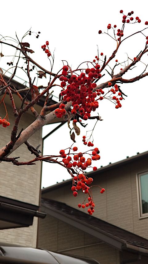 20200123®⤫εƻ˾ʥʥޥ
