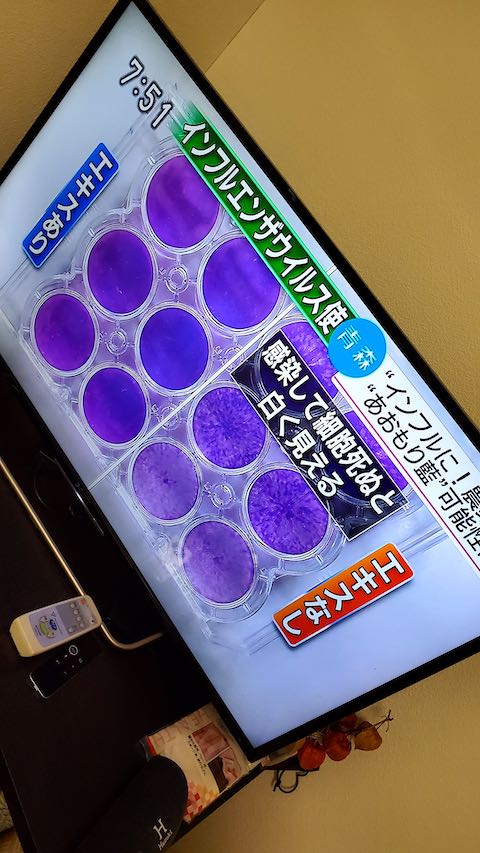 20200214NHKƥĿ2