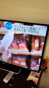 20200214NHKƥĿ1