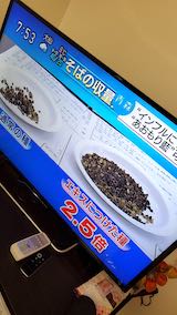 20200214NHKƥĿ5