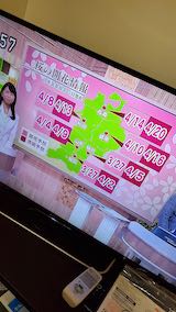 20200306NHKƥ̤κͽ