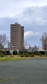 20200405速歩途中の公園内と西の空秋田新幹線こまち号