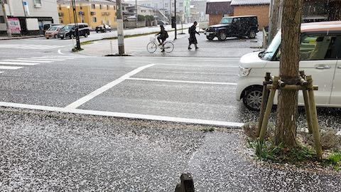 20200405外の様子昼過ぎあられが降り出す2