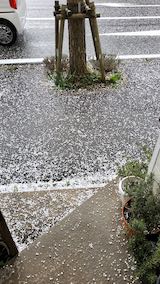 20200318外の様子昼過ぎあられが降り出す1