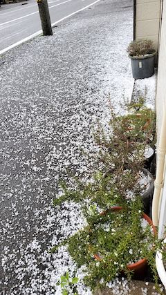 20200405外の様子昼過ぎあられが降り出す3