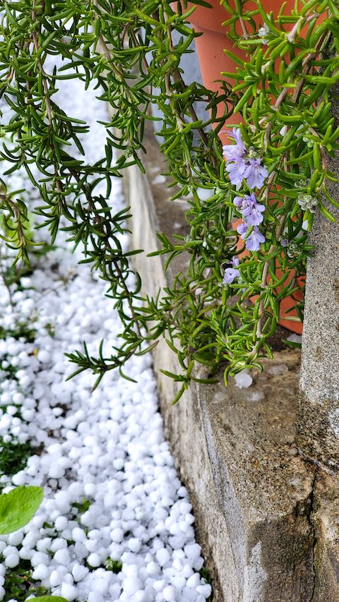 20200405外の様子昼過ぎあられが降り出す5