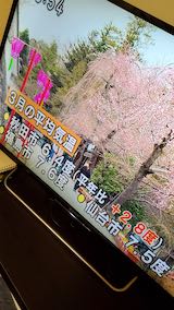 20200318NHKテレビ三月の平均気温秋田市6.4度