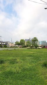 20200529速歩途中の公園内から望んだ南西の空