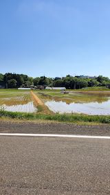 20200529山へ向かう途中の田んぼと空