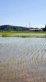 20200529山の入り口の田んぼと空