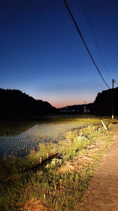 20200529山からの帰り道の様子田んぼと空