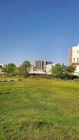 20200604速歩途中の公園内と南西の空2