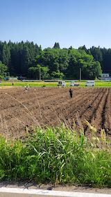 20200604山へ向かう途中の田んぼと空2