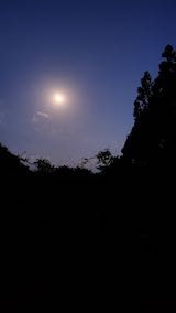20200604山の様子お月さま
