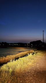 20200604山からの帰り道で望んだ田んぼと空