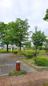 20200607速歩途中の公園内の様子草刈り済み1