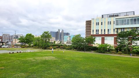 20200607歩途中の公園内の様子草刈り済み2