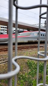 20200607JR秋田駅新幹線ホームこまち号