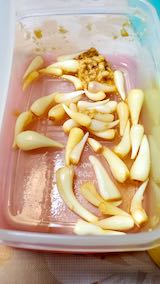 20200607お昼ご飯ひろっこの根