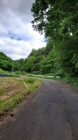 20200607山へ向かう途中の峠道の様子