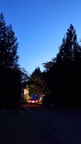 20200607ラベンダー畑を下る前の様子