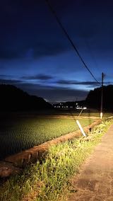 20200607山からの帰り道の様子田んぼと空