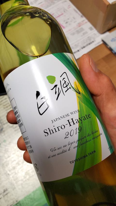 20200620矢島TOYOSHIMA FARM産白颯1