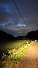 20200620山からの帰り道で望んだ田んぼと空