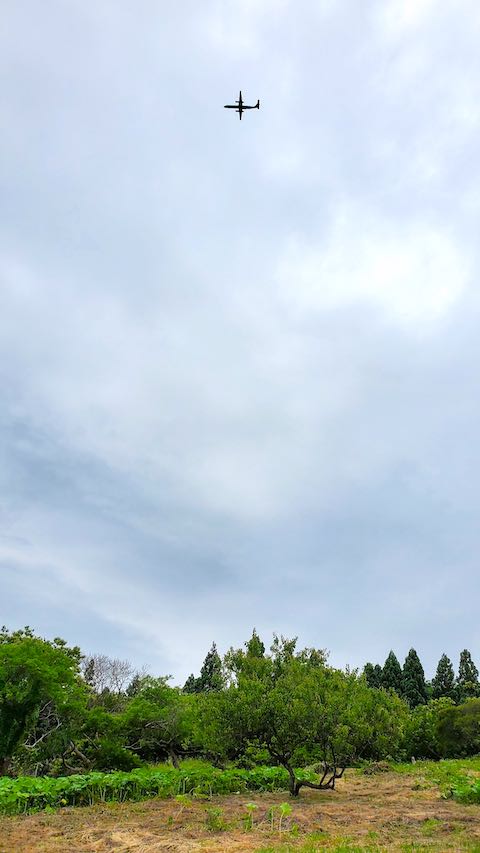 20200625ξԵ