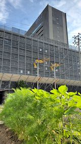 20200721速歩途中で望んだアルヴェと駐車場