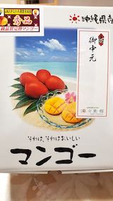 20200721沖縄のマンゴー