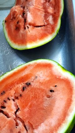 20200816最後となる山都のスイカ1