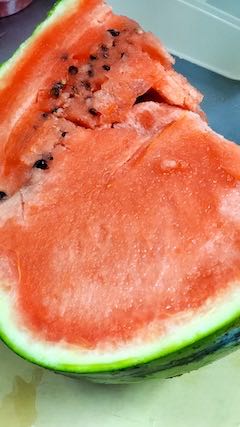 20200816最後となる山都のスイカ2