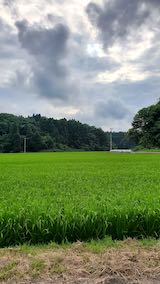 20200816山へ向かう途中の様子田んぼと空