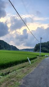 20200816山からの帰り道で望んだ田んぼと空