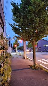 20200816外の様子夕方夕刻1