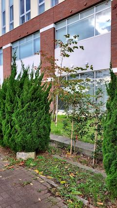 20201007Ƥγϩη֤˥⥯