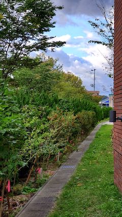 20201007Ƥγϩ΢˥⥯