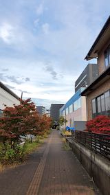 20201019®˾ƻڤι