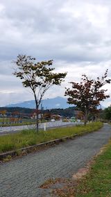 20201019ͻʿ