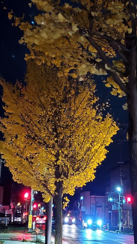 20201104ͻΤϤẢ祦