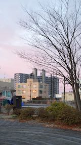 20201206速歩途中の公園内と西側の建物のガラスに反射していた朝日2