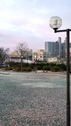 20201206速歩途中の公園高台から望んだこまち号