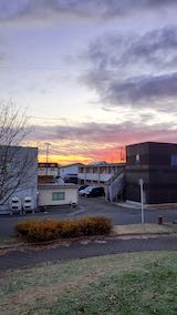 20201206速歩途中の公園高台から望んだ東の空