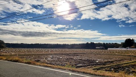 20201206山へ向かう途中の田んぼと空