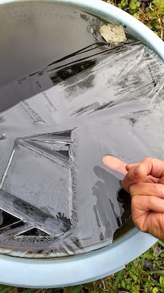 20201206山の様子氷1