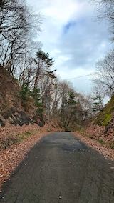 20201206山からの帰り道の様子峠道