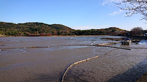 20201206京都の風景広沢池2