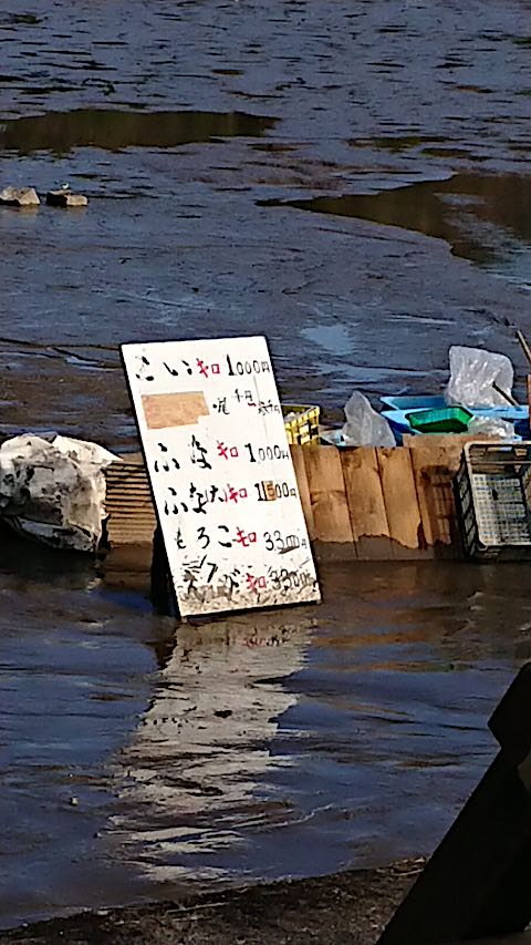 20201206京都の風景広沢池3